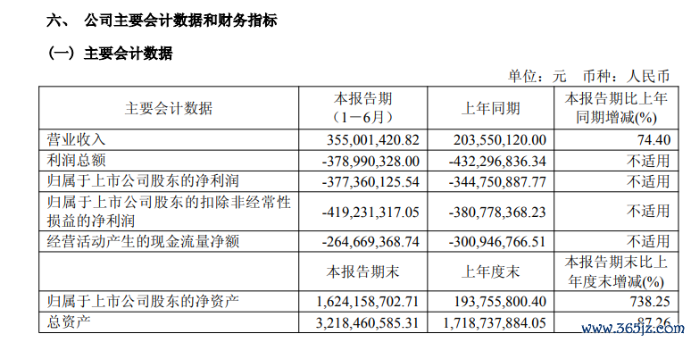 图片开首:半年报截图